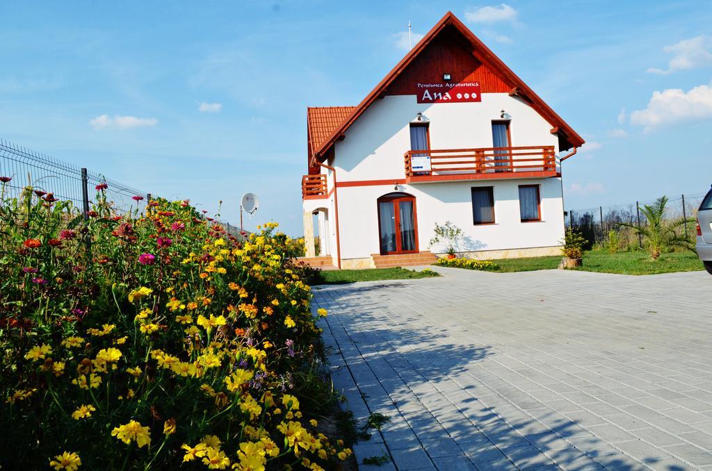 Pensiunea Ana Odoreu Exterior photo
